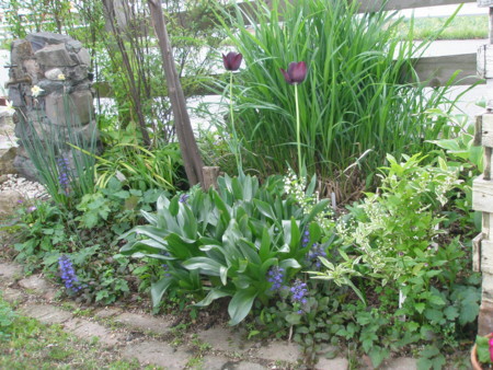 f:id:landisozaki:20120421154200j:image f:id:landisozaki:20120421154200j:image