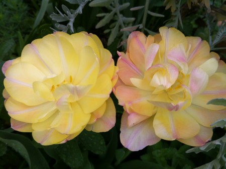 f:id:landisozaki:20120422163932j:image f:id:landisozaki:20120422163932j:image