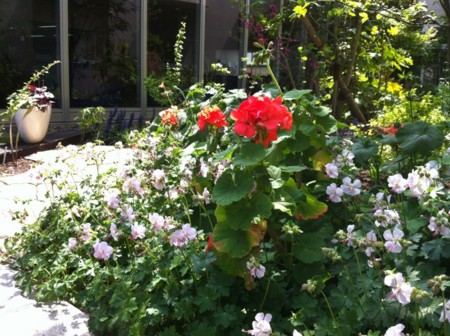 f:id:landisozaki:20120427141402j:image f:id:landisozaki:20120427141402j:image