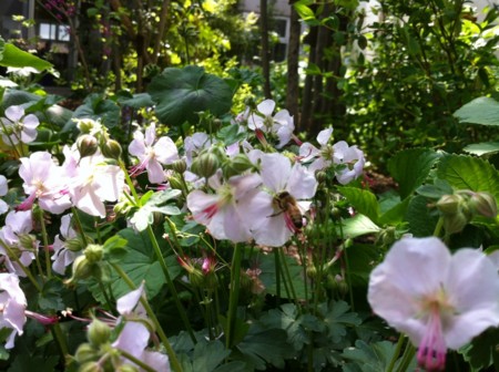 f:id:landisozaki:20120427141403j:image f:id:landisozaki:20120427141403j:image