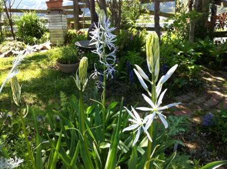 f:id:landisozaki:20120427142923j:image f:id:landisozaki:20120427142923j:image