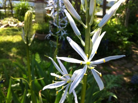 f:id:landisozaki:20120427142924j:image f:id:landisozaki:20120427142924j:image