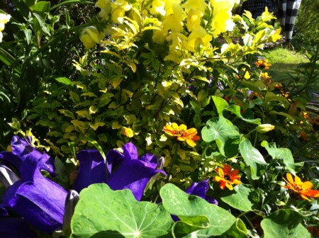 f:id:landisozaki:20120429114528j:image f:id:landisozaki:20120429114528j:image