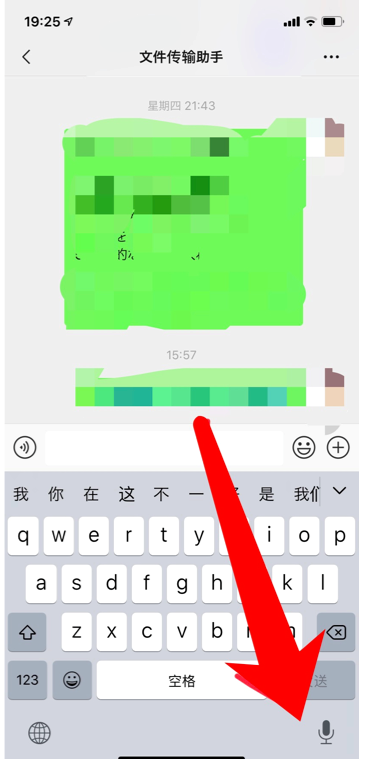 voice