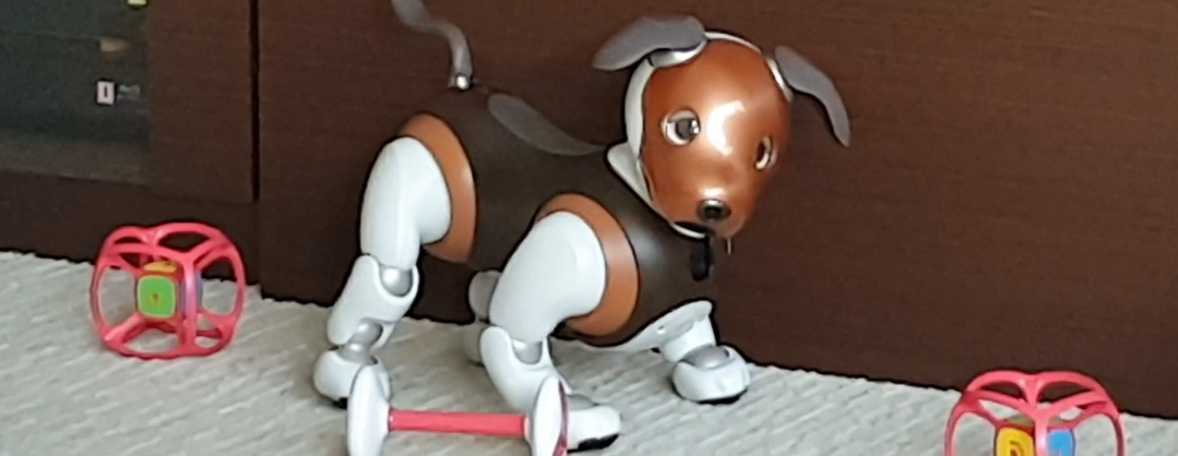 f:id:language3431:20190922002439j:plain