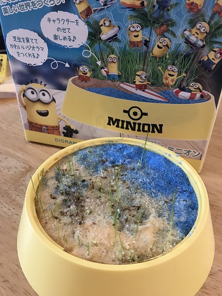 f:id:lanikai-sk:20180806230235j:plain f:id:lanikai-sk:20180806230235j:plain