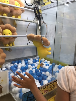 f:id:lanikai-sk:20180815105517j:plain f:id:lanikai-sk:20180815105517j:plain