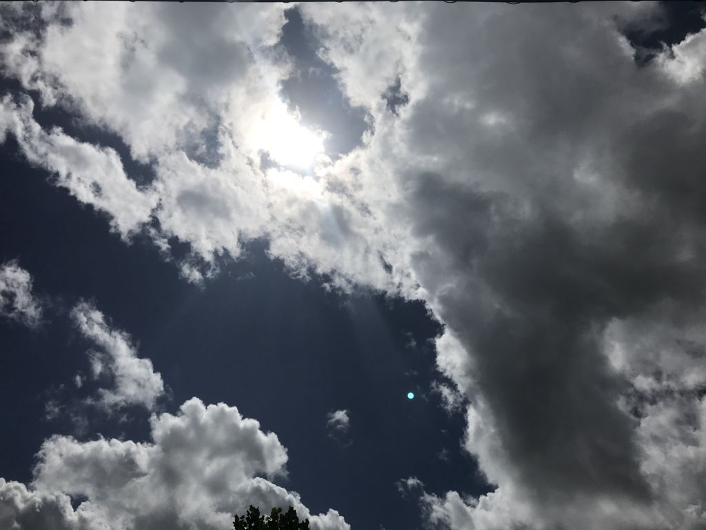 f:id:lanikai-sk:20180822151900j:plain f:id:lanikai-sk:20180822151900j:plain