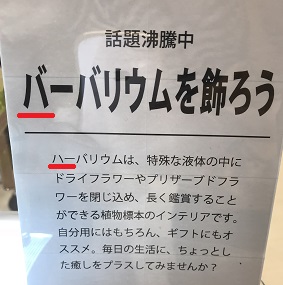 f:id:lanikai-sk:20180822224132j:plain f:id:lanikai-sk:20180822224132j:plain