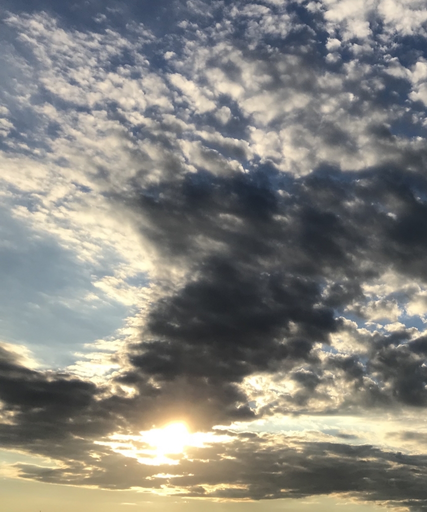 f:id:lanikai-sk:20180824161625j:plain f:id:lanikai-sk:20180824161625j:plain