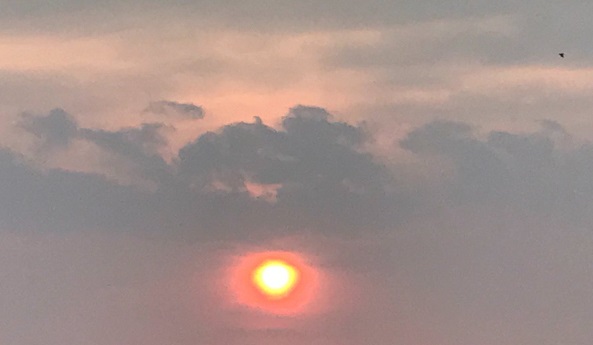 f:id:lanikai-sk:20180824162840j:plain f:id:lanikai-sk:20180824162840j:plain