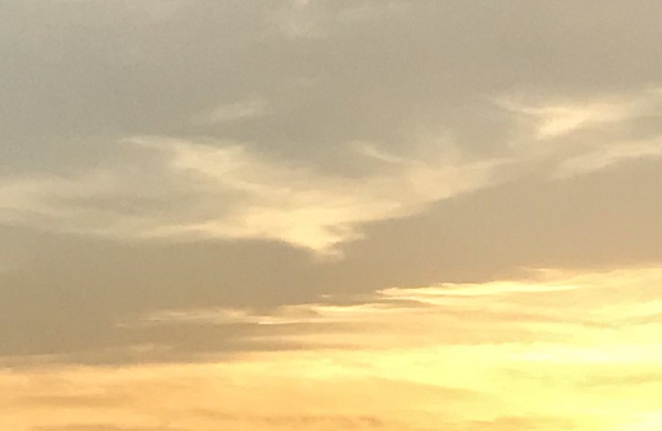 f:id:lanikai-sk:20180824163131j:plain f:id:lanikai-sk:20180824163131j:plain