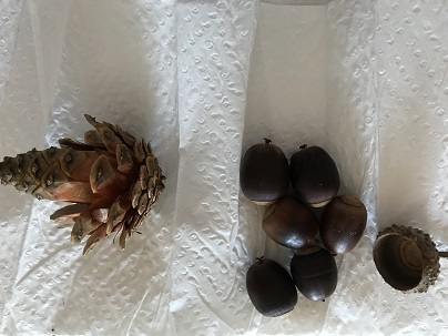 f:id:lanikai-sk:20180829154527j:plain f:id:lanikai-sk:20180829154527j:plain