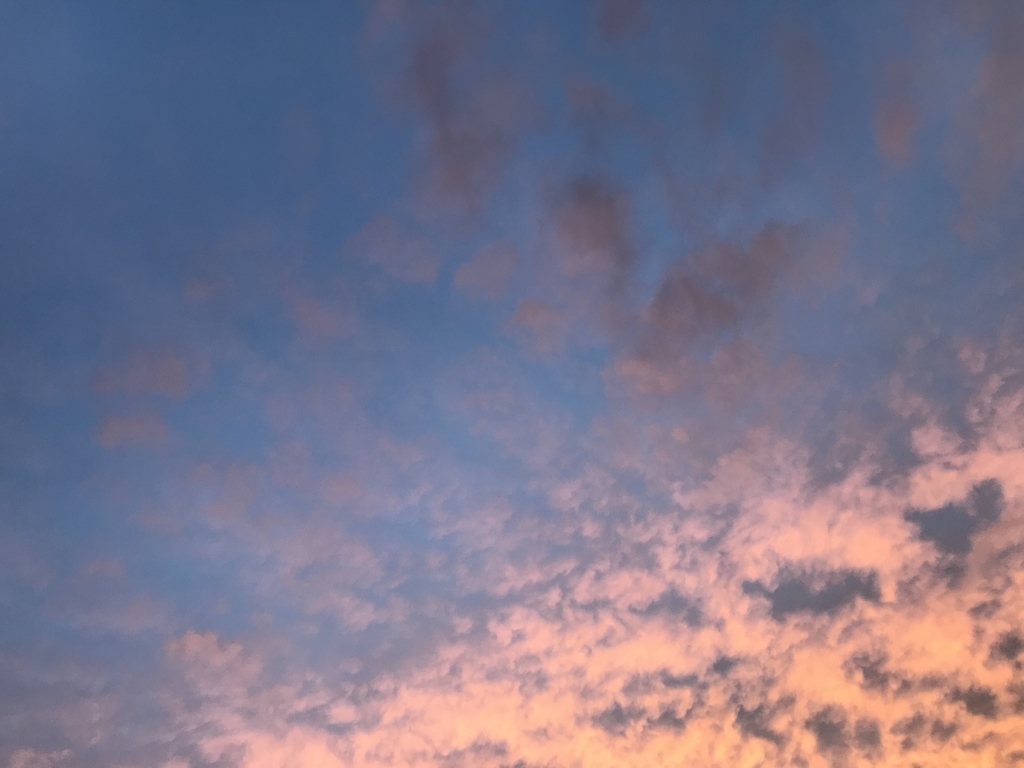 f:id:lanikai-sk:20180926005546j:plain f:id:lanikai-sk:20180926005546j:plain
