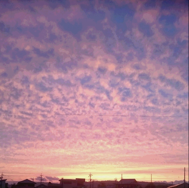 f:id:lanikai-sk:20180926005921p:plain f:id:lanikai-sk:20180926005921p:plain