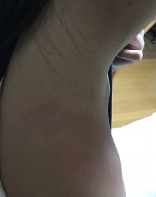 f:id:lanikai-sk:20181127190020j:plain f:id:lanikai-sk:20181127190020j:plain