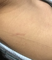 f:id:lanikai-sk:20181127190037j:plain f:id:lanikai-sk:20181127190037j:plain