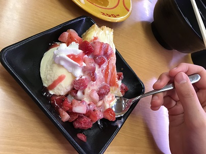 f:id:lanikai-sk:20190130153258j:plain f:id:lanikai-sk:20190130153258j:plain