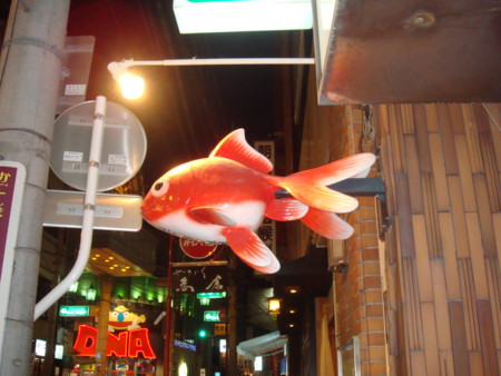 f:id:lanikaibeach:20090917233831j:image