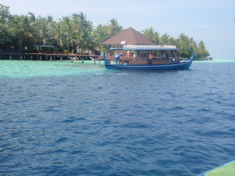 f:id:lanolanolano:20121230132325j:image f:id:lanolanolano:20121230132325j:image