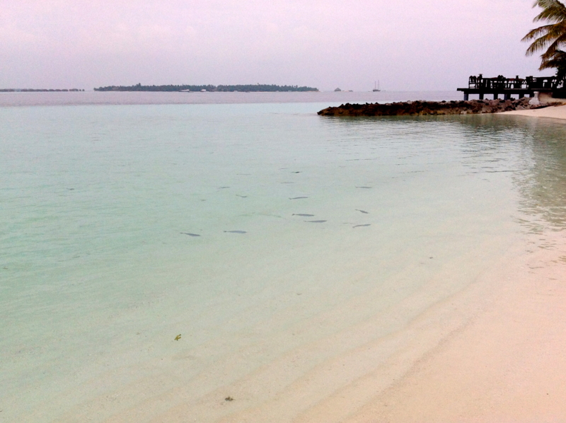 f:id:lanolanolano:20121231092119j:image f:id:lanolanolano:20121231092119j:image