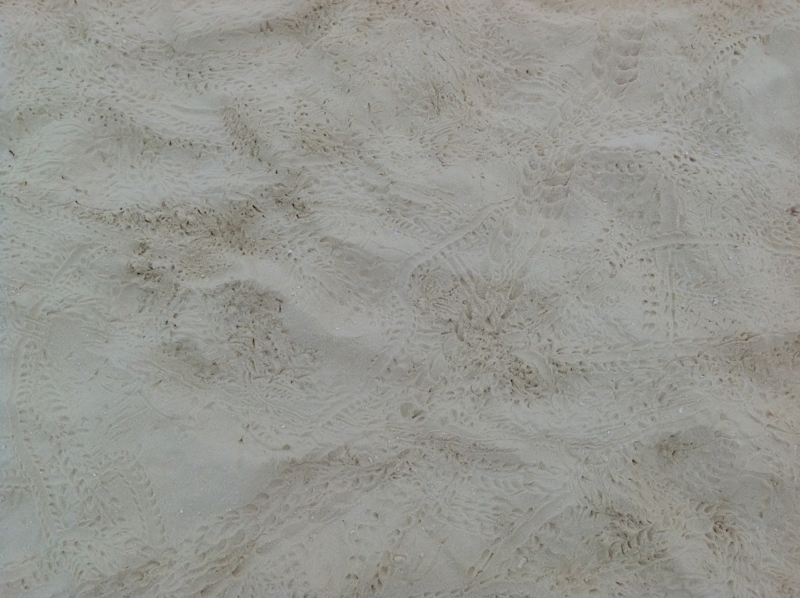 f:id:lanolanolano:20121231093308j:image f:id:lanolanolano:20121231093308j:image