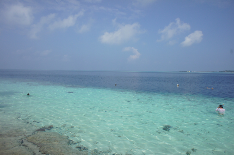 f:id:lanolanolano:20121231103234j:image f:id:lanolanolano:20121231103234j:image