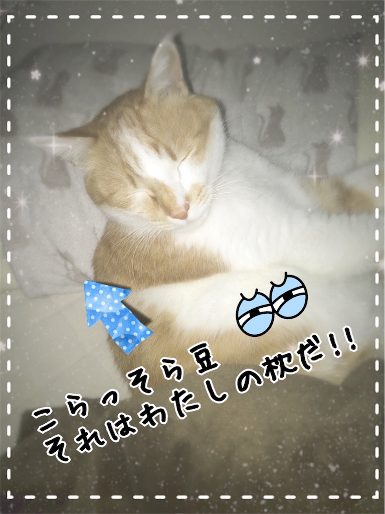 f:id:lapinslife:20180303172051j:plain