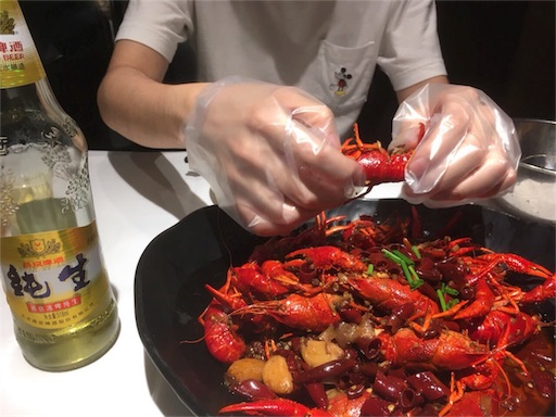 f:id:lapis1502187:20190909214411j:image