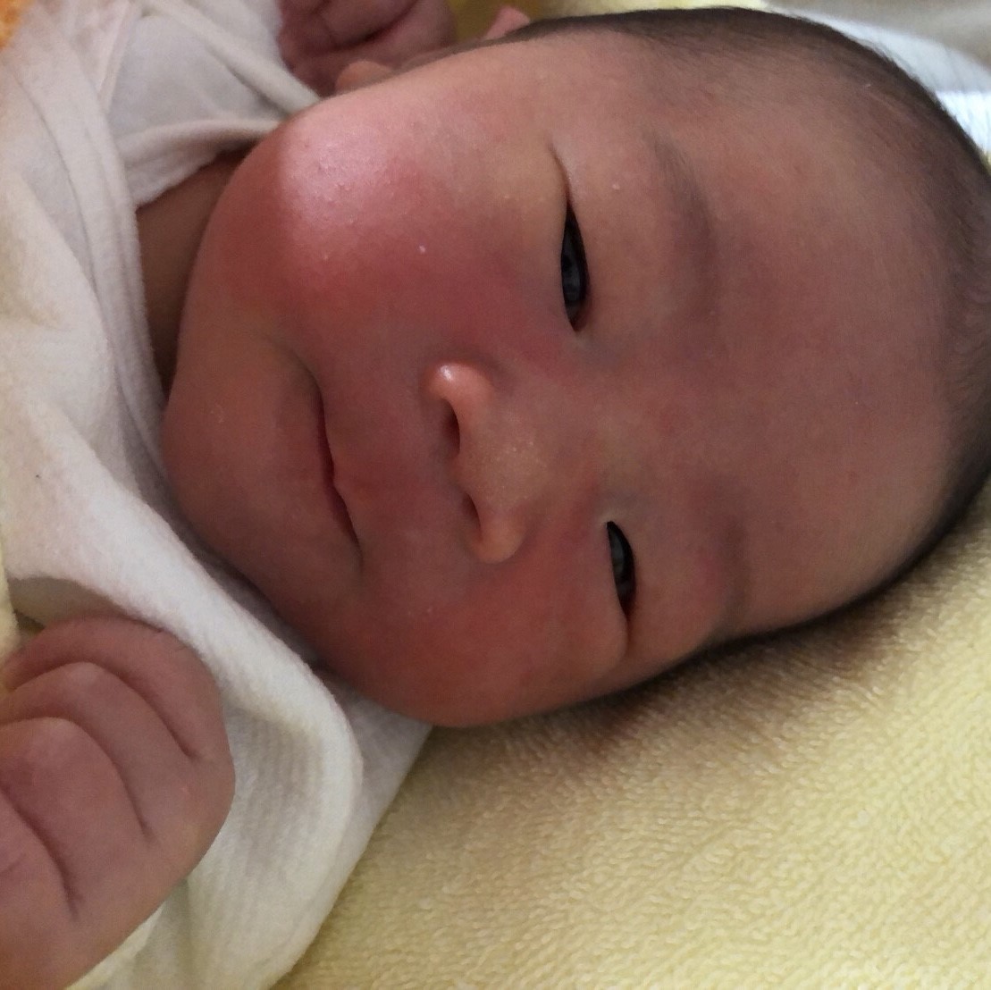 f:id:lapisLazuli:20190418130653j:plain