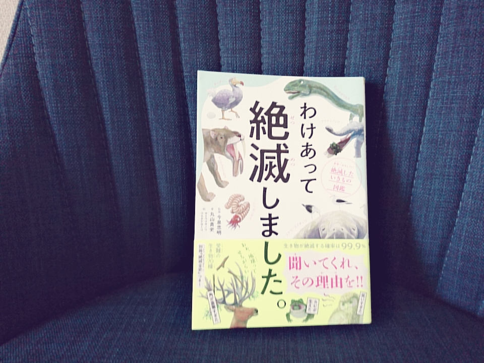 f:id:lapisgarden:20180911080556j:plain f:id:lapisgarden:20180911080556j:plain