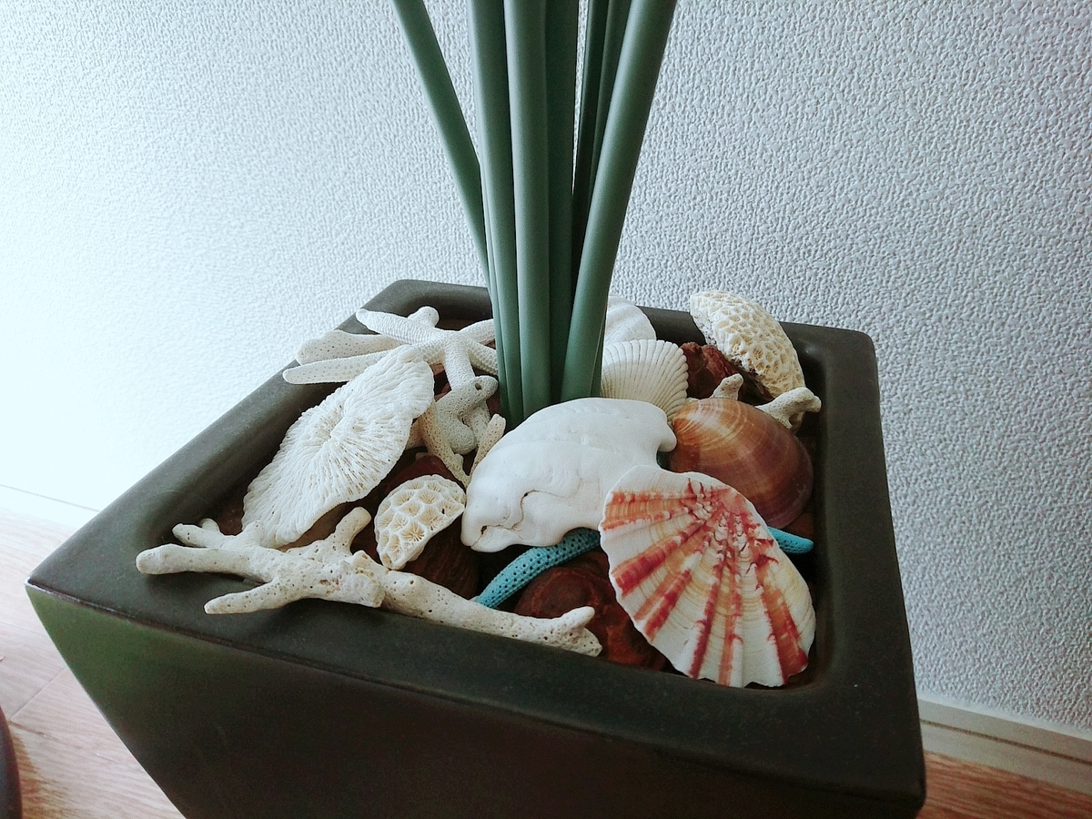 f:id:lapisgarden:20190314220623j:plain f:id:lapisgarden:20190314220623j:plain