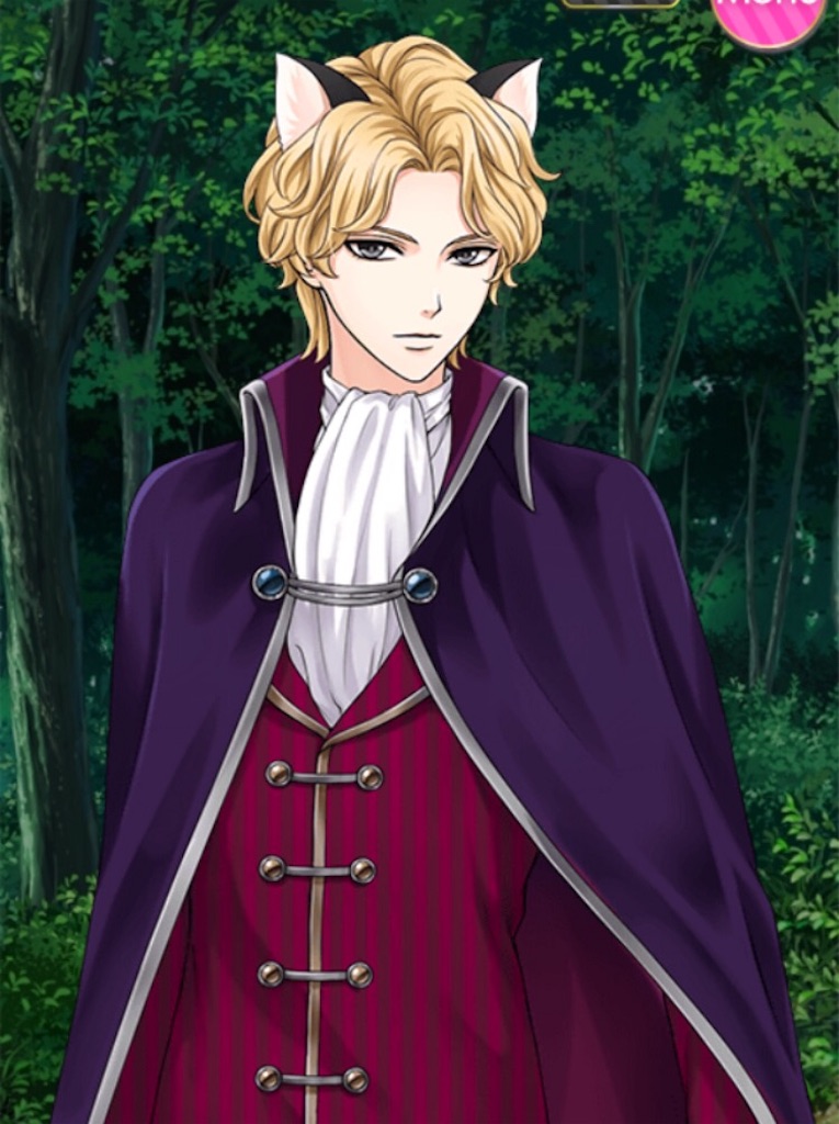 f:id:lapislazuli1203253:20171121083126j:image