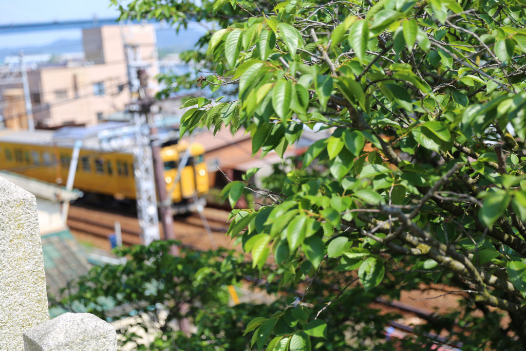 f:id:laplus-knsn:20161122015538j:plain f:id:laplus-knsn:20161122015538j:plain