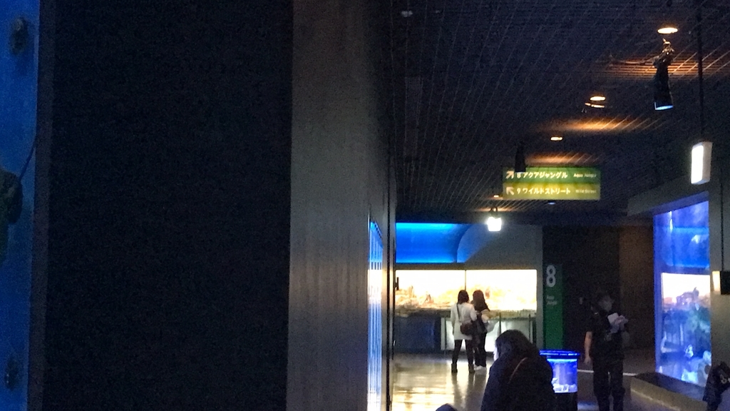 f:id:laquari:20190108001001j:plain f:id:laquari:20190108001001j:plain