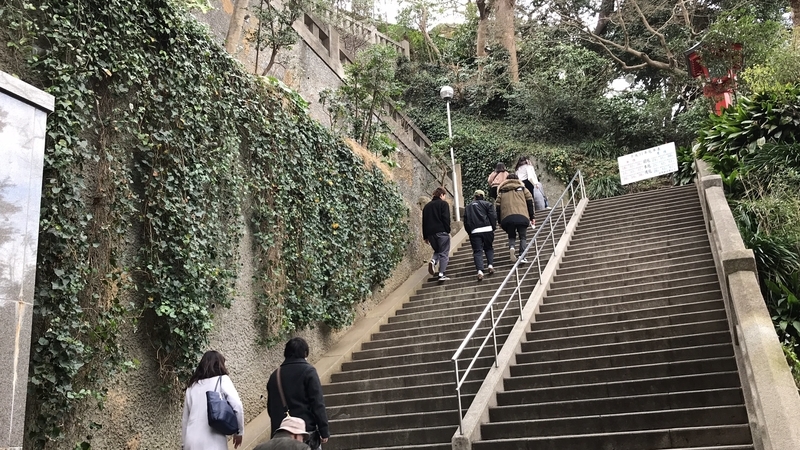 f:id:laquari:20190309130504j:plain f:id:laquari:20190309130504j:plain