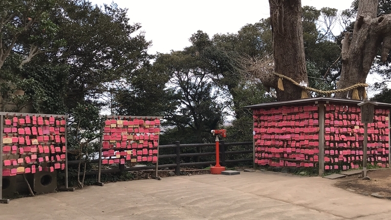 f:id:laquari:20190309130509j:plain f:id:laquari:20190309130509j:plain