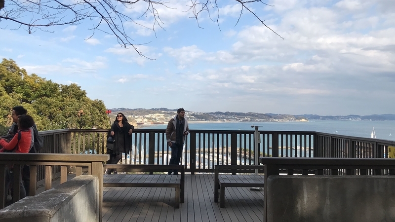 f:id:laquari:20190309130515j:plain f:id:laquari:20190309130515j:plain