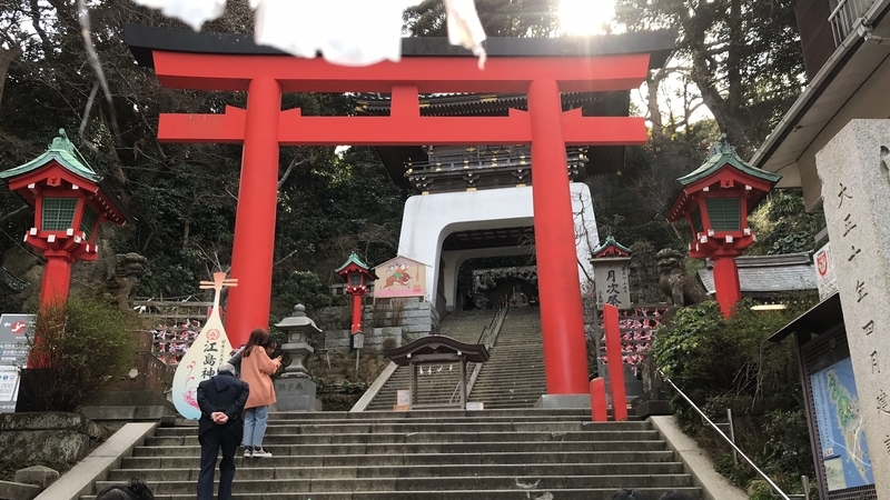 f:id:laquari:20190309130516j:plain f:id:laquari:20190309130516j:plain