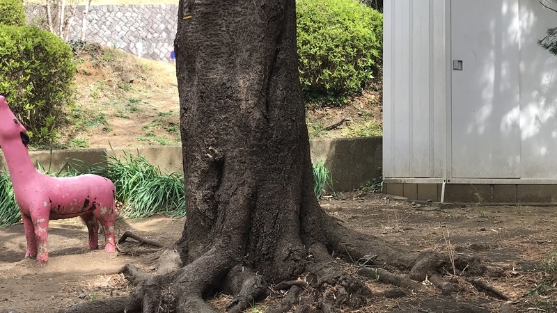 f:id:laquari:20190321221126j:plain f:id:laquari:20190321221126j:plain