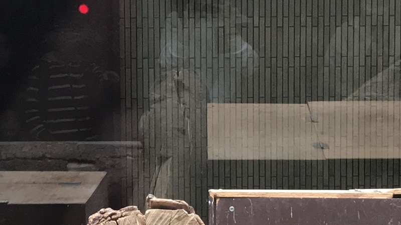 f:id:laquari:20190402182324j:plain f:id:laquari:20190402182324j:plain