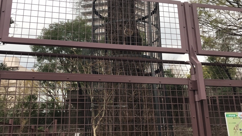 f:id:laquari:20190402182325j:plain f:id:laquari:20190402182325j:plain