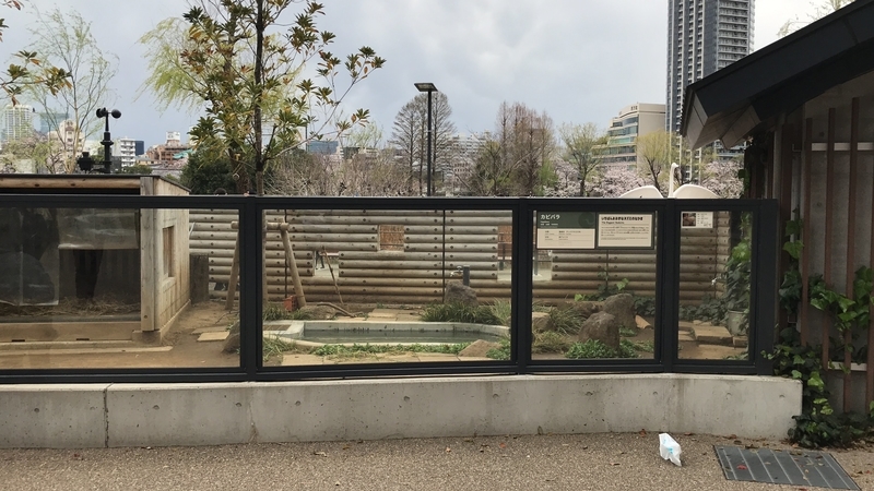 f:id:laquari:20190402182326j:plain f:id:laquari:20190402182326j:plain