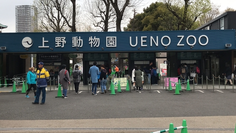 f:id:laquari:20190402182331j:plain f:id:laquari:20190402182331j:plain