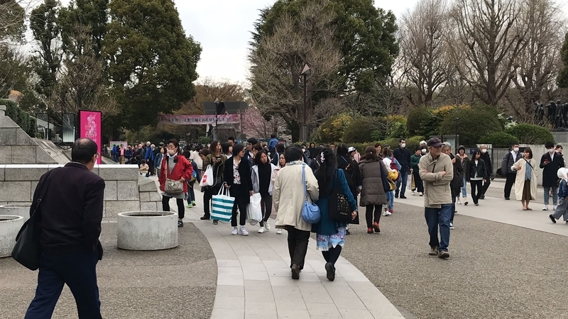 f:id:laquari:20190402182334j:plain f:id:laquari:20190402182334j:plain