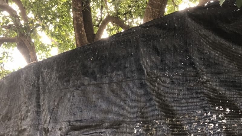f:id:laquari:20190402182340j:plain f:id:laquari:20190402182340j:plain