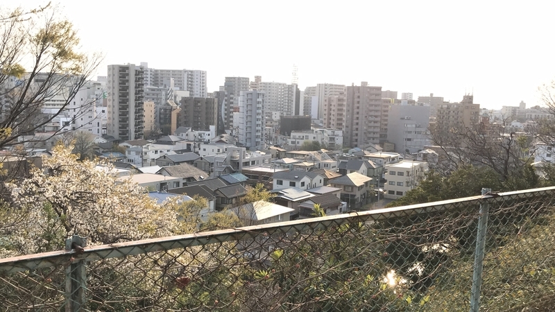 f:id:laquari:20190530001815j:plain f:id:laquari:20190530001815j:plain