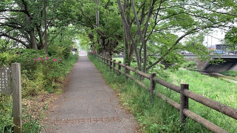 f:id:laquari:20190530180508j:plain f:id:laquari:20190530180508j:plain
