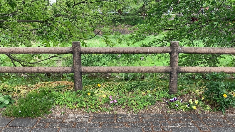 f:id:laquari:20190530180511j:plain f:id:laquari:20190530180511j:plain