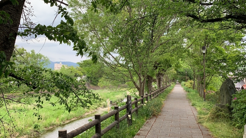 f:id:laquari:20190530180512j:plain f:id:laquari:20190530180512j:plain